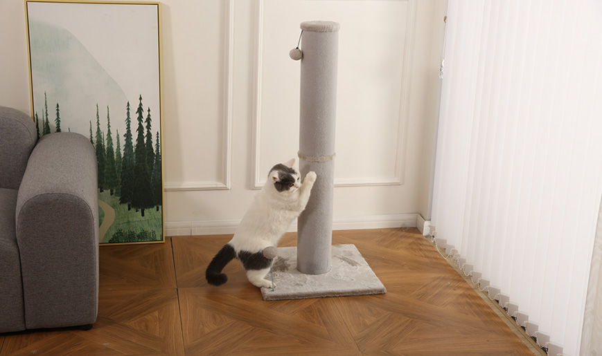 巨型猫抓柱走红TikTok，揭开浙江制造的另一种出海方式